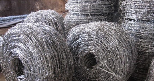 day thep gai malaysia kinh doanh am dam