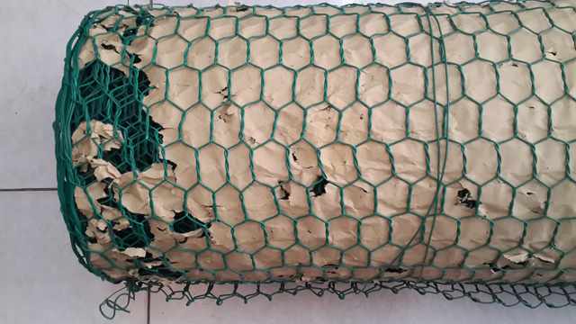 luoi mat cao boc nhua chau a giu gia